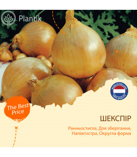 Озима цибуля саджанка (сіянка) Шекспір