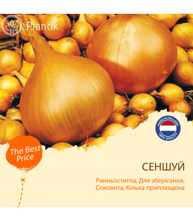Озима цибуля саджанка (сіянка) Сеншуй