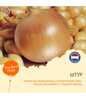 Озимый лук севок Штур