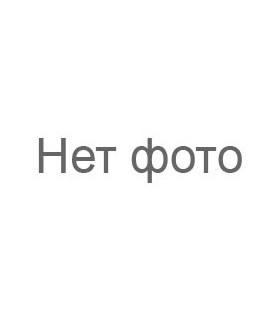 Озимый лук севок Радар (Рейдер)